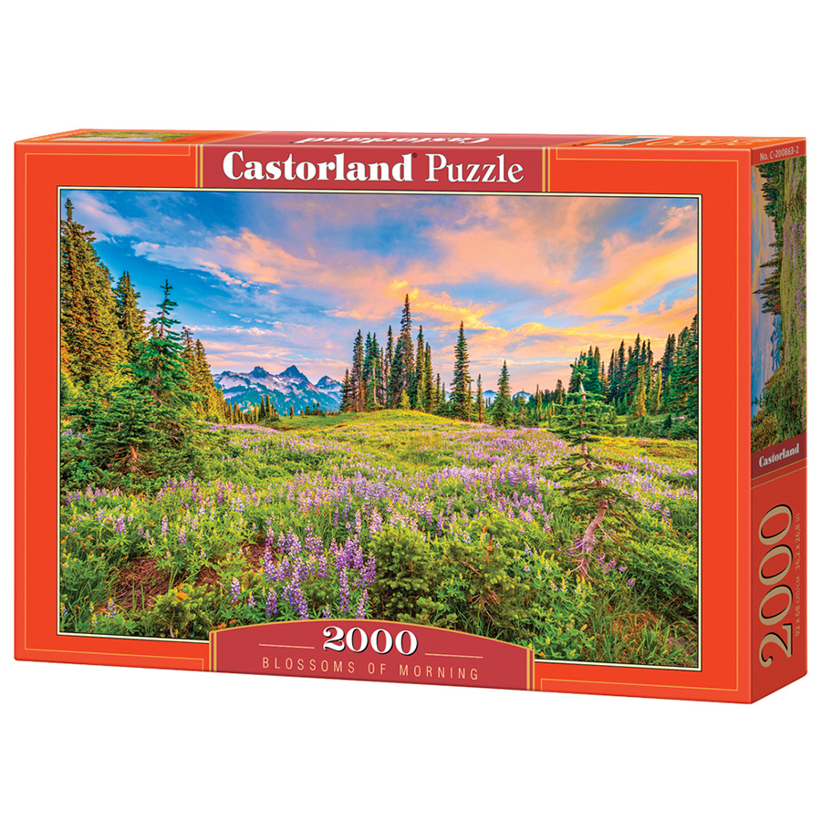 puzzle - Gufi - 2000 pezzi - Castorland