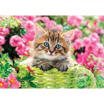 puzzle - Castorland - Gattino in giardino - 500 pezzi