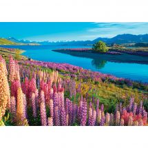 puzzle - Castorland - Lago Tekapo - 500 pezzi