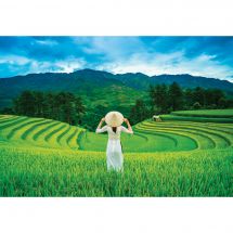 puzzle - Castorland - Campo di riso in Vietnam - 1000 pezzi