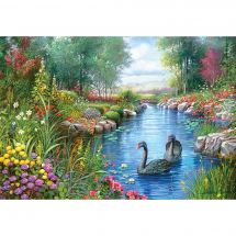 puzzle - Castorland - Cigni neri - 1500 pezzi