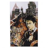 Kit di pittura per numero - Craft Buddy - harry potter