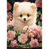 puzzle per bambini - Castorland - Cucciolo di Pomerania - 60 pezzi